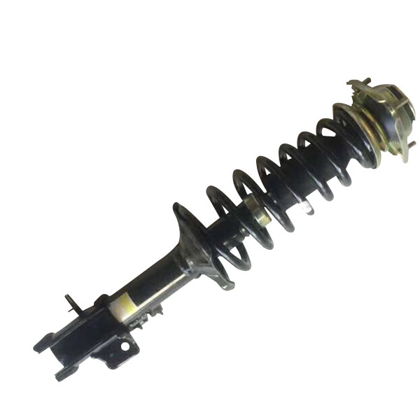 Ruixing M80 front shock absorber